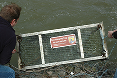 lamprey trap